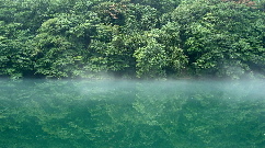 Foggy River